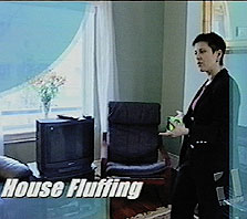Debra Gould, House Fluffing on TV